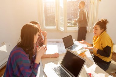 Team made of young architects in the sunny office.