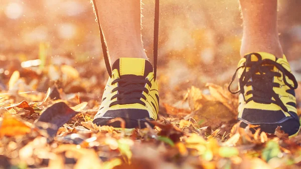 Vorbereitung auf Joggen im herbstlichen Park. — Stockfoto