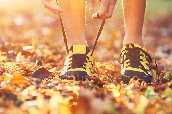 Προετοιμασία για τρέξιμο το φθινόπωρο χρωματιστό πάρκο. — Φωτογραφία Αρχείου