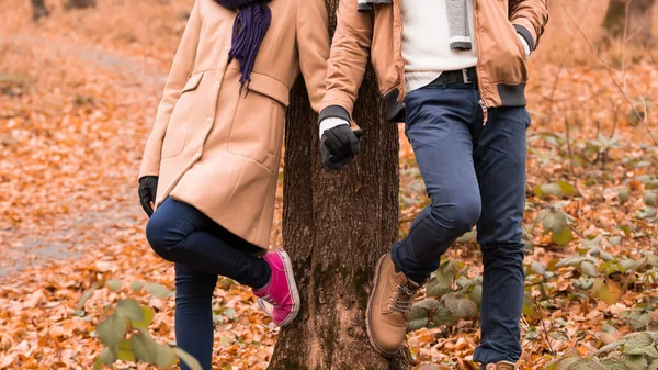 Couple dans le parc jouissant d'un bel automne / hiver . — Photo