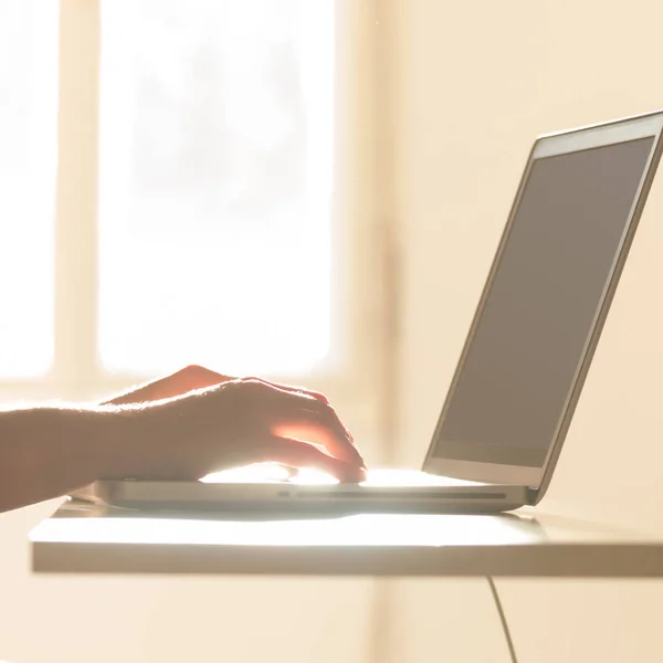 Iemands handen werken op een laptop toetsenbord. — Stockfoto