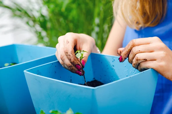 Niña Cuidando Las Plantas Cultivadas Casa Especias — Foto de Stock