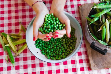 Kadın taze organik bezelye hazırlıyor ve kabuğundan çıkarıyor..