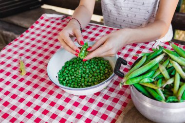 Kadın taze organik bezelye hazırlıyor ve kabuğundan çıkarıyor..