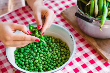 Kadın taze organik bezelye hazırlıyor ve kabuğundan çıkarıyor..