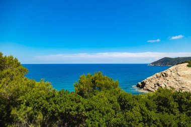 Egzotik mavi tropikal okyanus / deniz tropikal sahne.