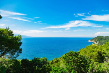 Egzotik mavi tropikal okyanus / deniz tropikal sahne.