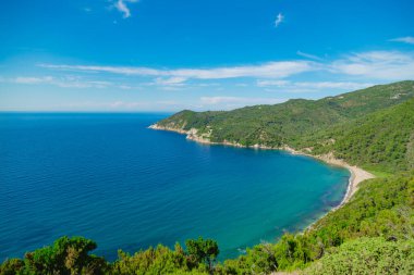Egzotik mavi tropikal okyanus / deniz tropikal sahne.