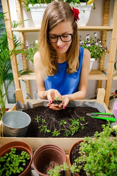 Девочка Ухаживающая Домашними Растениями Специями — стоковое фото