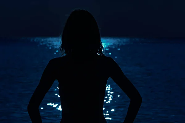 一个有着遥远海洋地平线的女人在夜晚的轮廓 — 图库照片