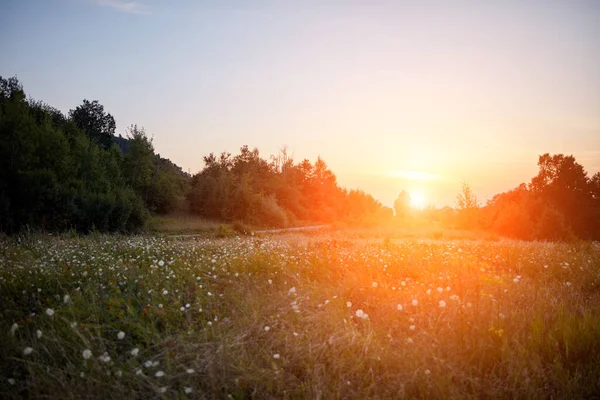 Вид Горбистий Пейзаж Літній Час — стокове фото