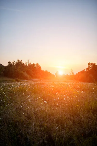 Вид Горбистий Пейзаж Літній Час — стокове фото