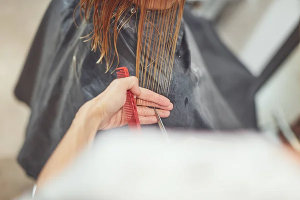 Peluquería Cortar Cabello Salón —  Fotos de Stock