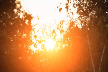 Rüya gibi manzaranın üzerinde gün batımı / gün doğumu.