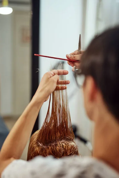 Peluquería Cortar Cabello Salón —  Fotos de Stock