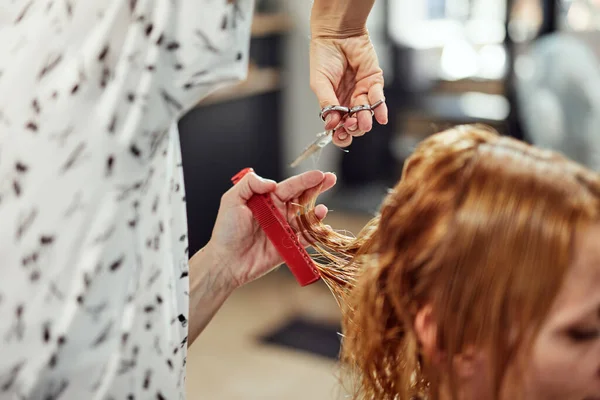 Peluquería Cortar Cabello Salón —  Fotos de Stock