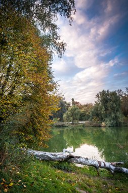 Düşmüş bir ağaç ile sonbahar Gölü