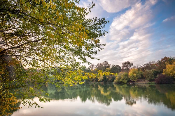 Önünde ağaçlar ile sonbahar Gölü