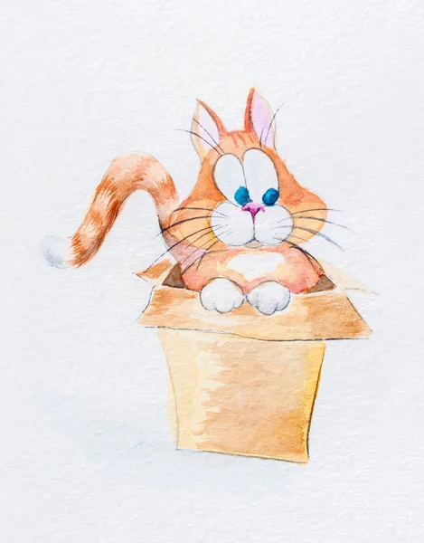 Bir kedinin kutusunda suluboya resim — Stok fotoğraf