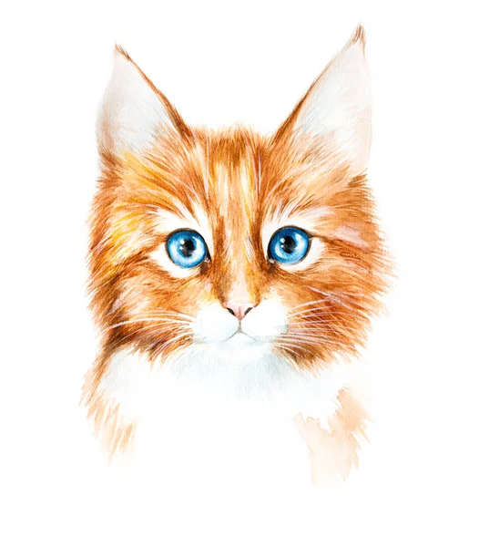Suluboya kırmızı kedi çizim — Stok fotoğraf