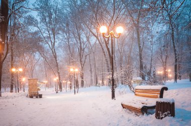 Kiev parklarından biri olan kışın