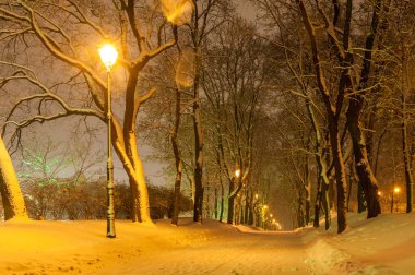 Kiev parklarından biri olan kışın