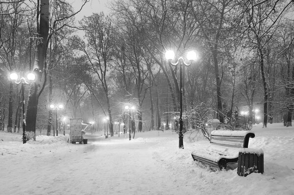 Monochrome photo of a winter evening in a central park in Kiev, Ukraine. Bench covered in snow with a small coffee kiosk in the background. Perfect for Christmas or winter illustrations