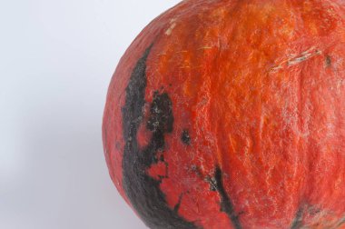 Düz turuncu balkabağı beyaz