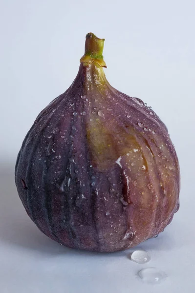 Fig op witte achtergrond — Stockfoto