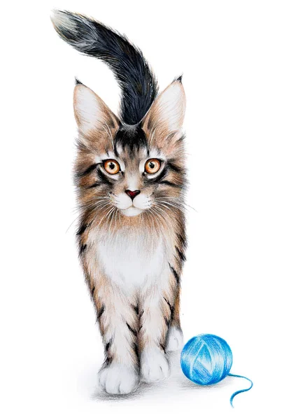 Dibujo a lápiz gato fotos de stock, imágenes de Dibujo a lápiz gato sin  royalties | Depositphotos