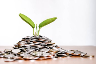 Bozuk paraların üzerinde büyüyen bitkiler tasarruf kavramı ve beyaz arkaplan