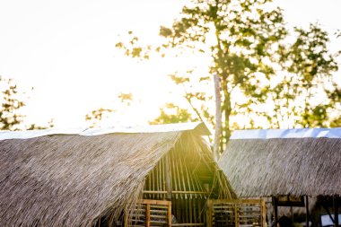 Sabah doğal ışık ve çimenden yapılmış çatı, çuval.