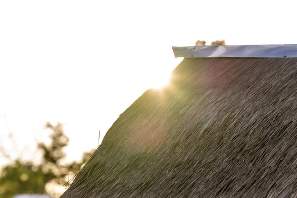 Tageslicht am Morgen und das Dach aus Gras, die Bac — Stockfoto