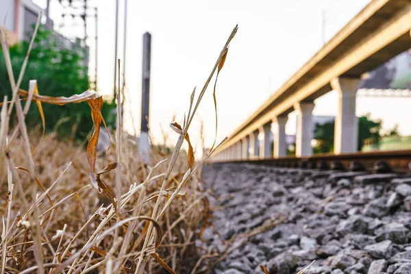 A photograph of hay near a railway. — Stock Photo, Image