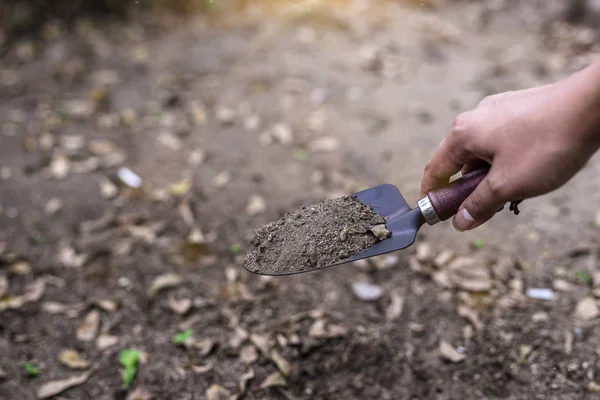 Photos of the digging spoon handle — Stock Photo, Image