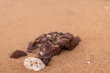 Sahilde taş resim ve günbatımı ışık arkaplan görüntüsü