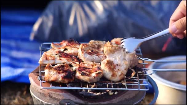 Beelden Van Geroosterd Varkensvlees Een Heerlijke Houtskoolgrill — Stockvideo