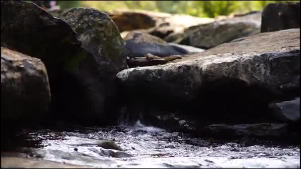 溪流中流过岩石的水的影像 — 图库视频影像