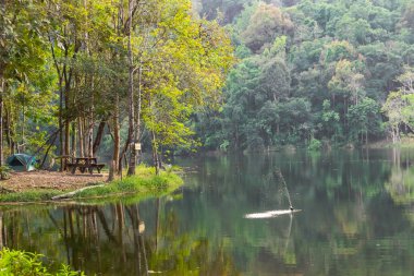 Nehirlerin ve ormanların güzel manzarası
