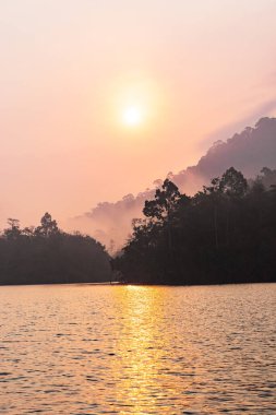 Nehrin güzel manzarası Gün batımında orman