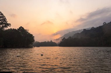 Nehrin güzel manzarası Gün batımında orman