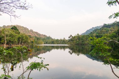 Nehirlerin ve ormanların güzel manzarası