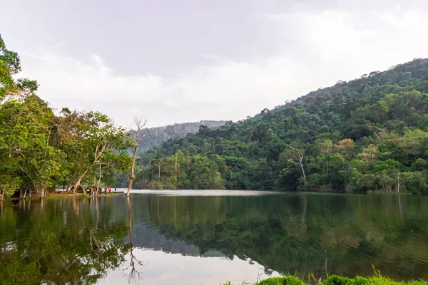 Beautiful Views Rivers Forests — Stock Photo, Image