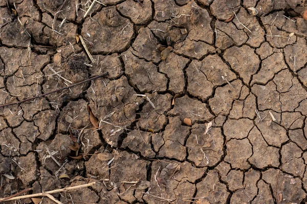 Terreno Agrietado Por Sequías Rurales Escasez Agua — Foto de Stock