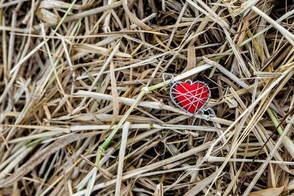 孤独的干草上红心的形象令人毛骨悚然 — 图库照片