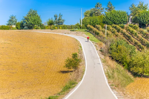 Senior Cyclist Climb Serpentine Road Plowed Fields Countryside Tuscany Emilia — Stock Photo, Image
