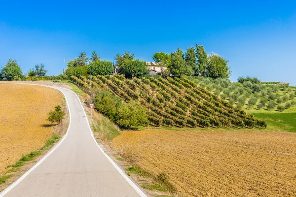 Serpentine Road Plowed Fields Countryside Tuscany Emilia Appenine — Stock Photo, Image