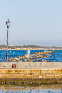İtalya 'da deniz kayaları arasında kutuplardaki martılar