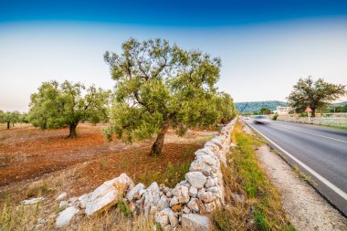 Apulian zeytinliklerinin kırmızı toprağı boyunca otoban