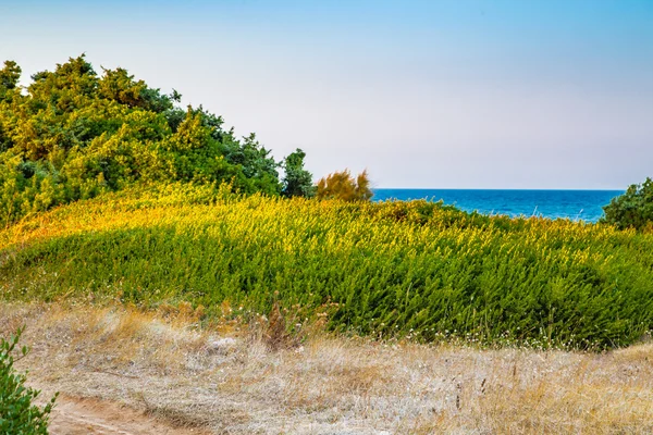 Rocky Shore Apulian Coast Italy — Stock Photo, Image